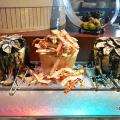 Atelier Sunday Brunch Preview