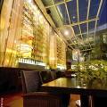 Angelini New Menu Preview