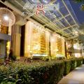 Angelini New Menu Preview