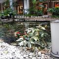 Four Seasons Preview
