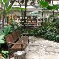 Four Seasons Preview