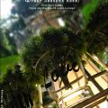 Four Seasons Preview