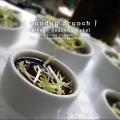 Four Seasons Preview
