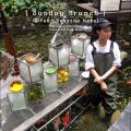 Four Seasons Preview