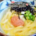 Marugame Preview