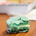 Masatomi Preview