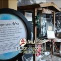Museum Siam Preview