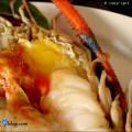 PaeKrungKao Preview