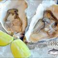 Toro Sushi Preview