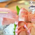 Toro Sushi Preview