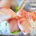 Toro Sushi Preview
