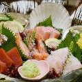 Umenohana Preview