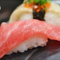 Washoku Preview
