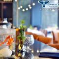 Whale's Belly Preview