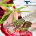 Whale's Belly Preview