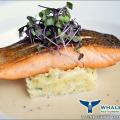 Whale's Belly Preview