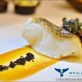 Whale's Belly Preview