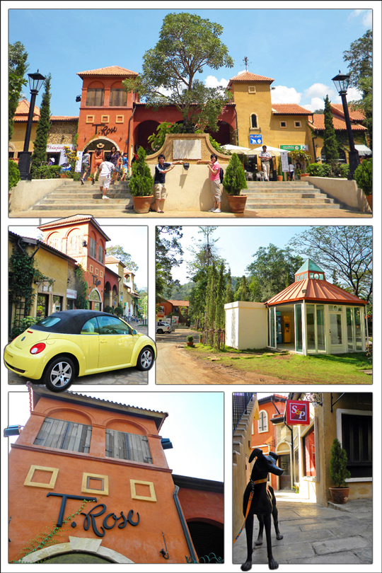 พาลิโอ Palio ยามเช้า