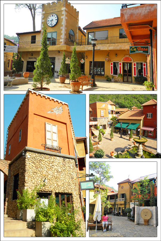 พาลิโอ Palio ยามเช้า
